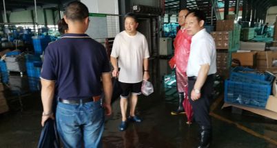 眾志成城戰(zhàn)“煙花” 風雨過后見彩虹
